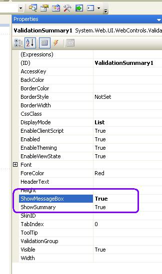 How to use ValidationSummary Control in ASP.Net