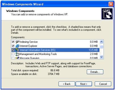 How to install IIS