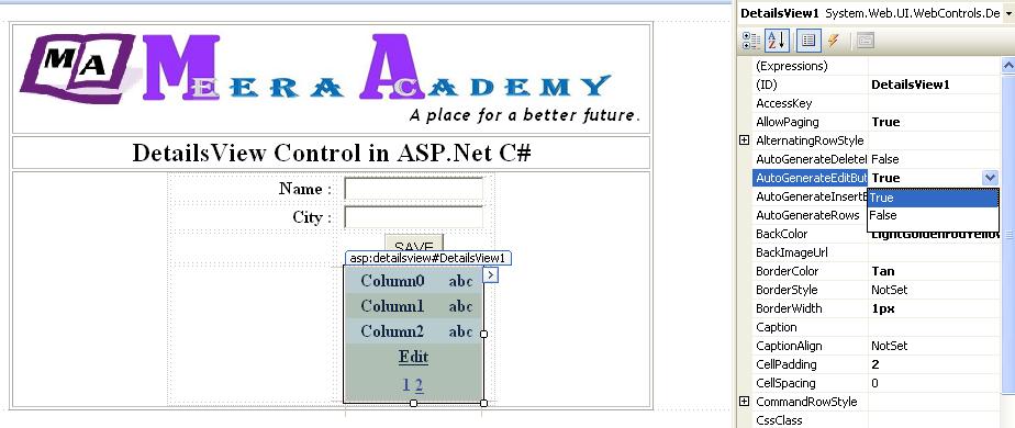 How to Edit, Update, Detele in DetailsView in ASP.Net C#.