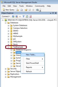 Create New Table in SQL Server Management Studio 2008.