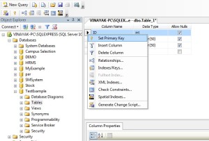Assign Primary Key on column in sql table.