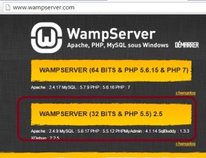 Download Wampserver 